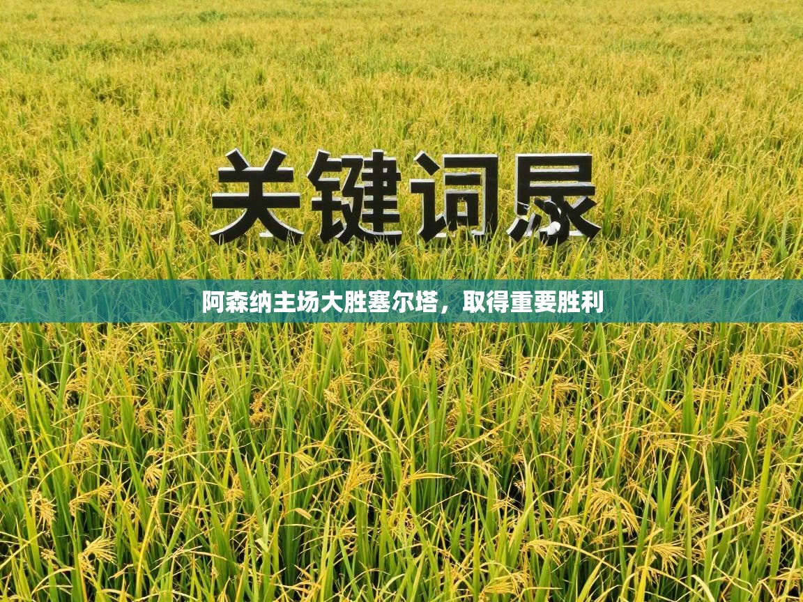 阿森纳主场大胜塞尔塔,取得重要胜利 第1张