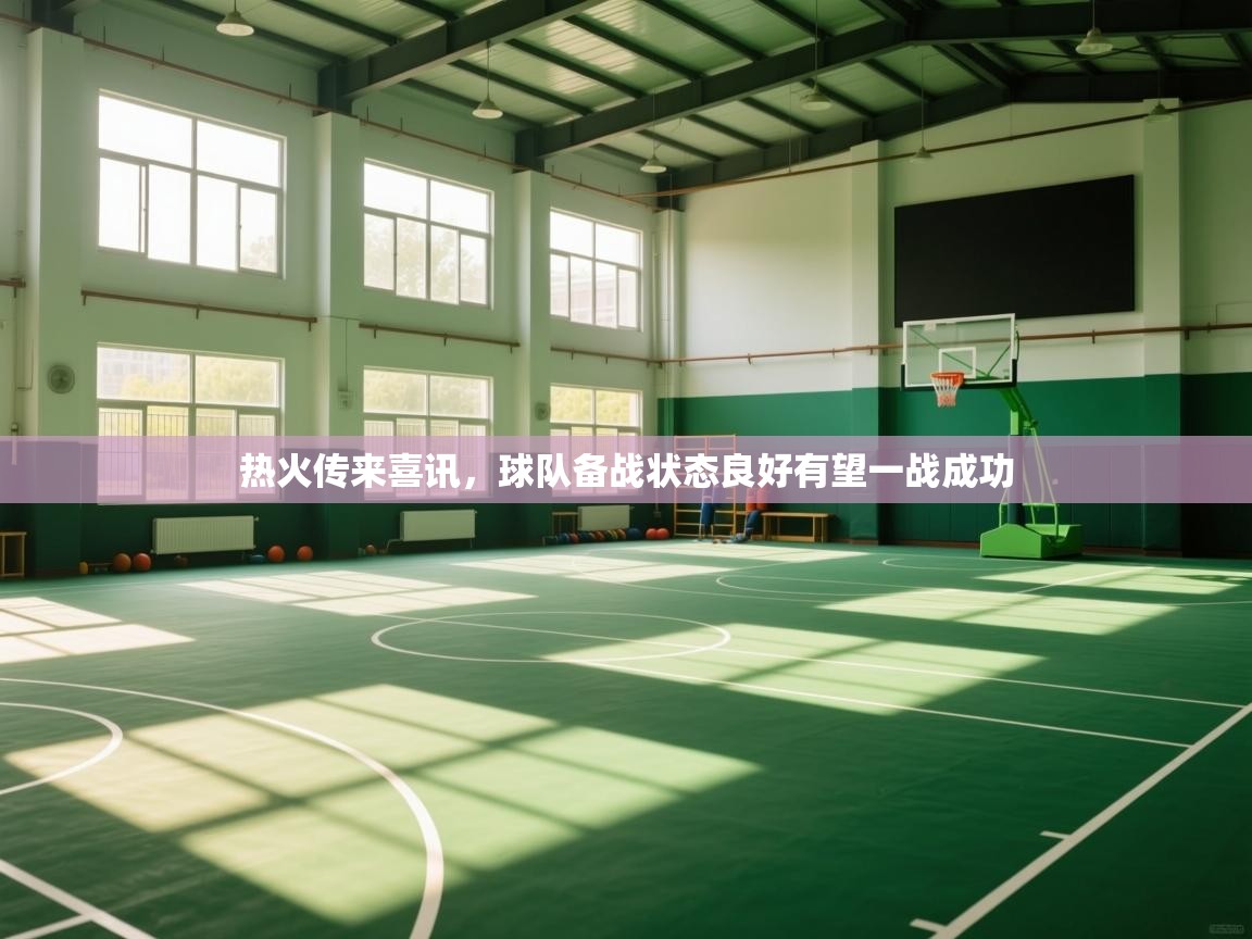 热火传来喜讯，球队备战状态良好有望一战成功  第2张