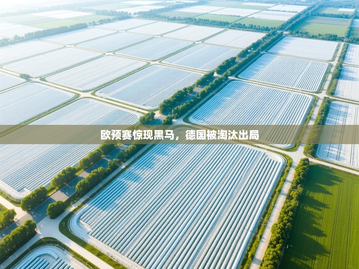 欧预赛惊现黑马，德国被淘汰出局